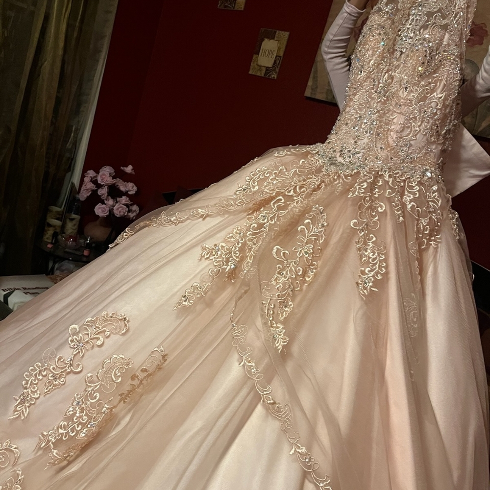 Beautiful soft rose prom/ball gown NWOT